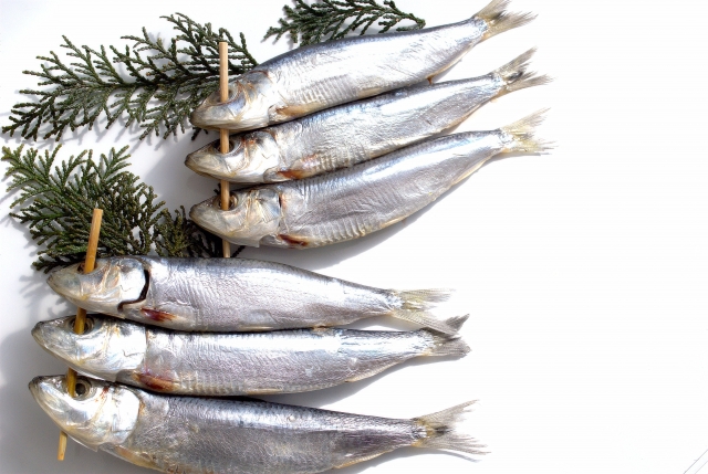 青魚の一夜干し