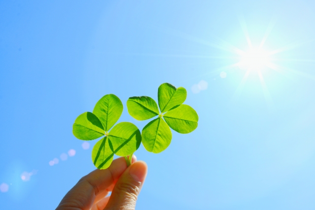 四葉のクローバー